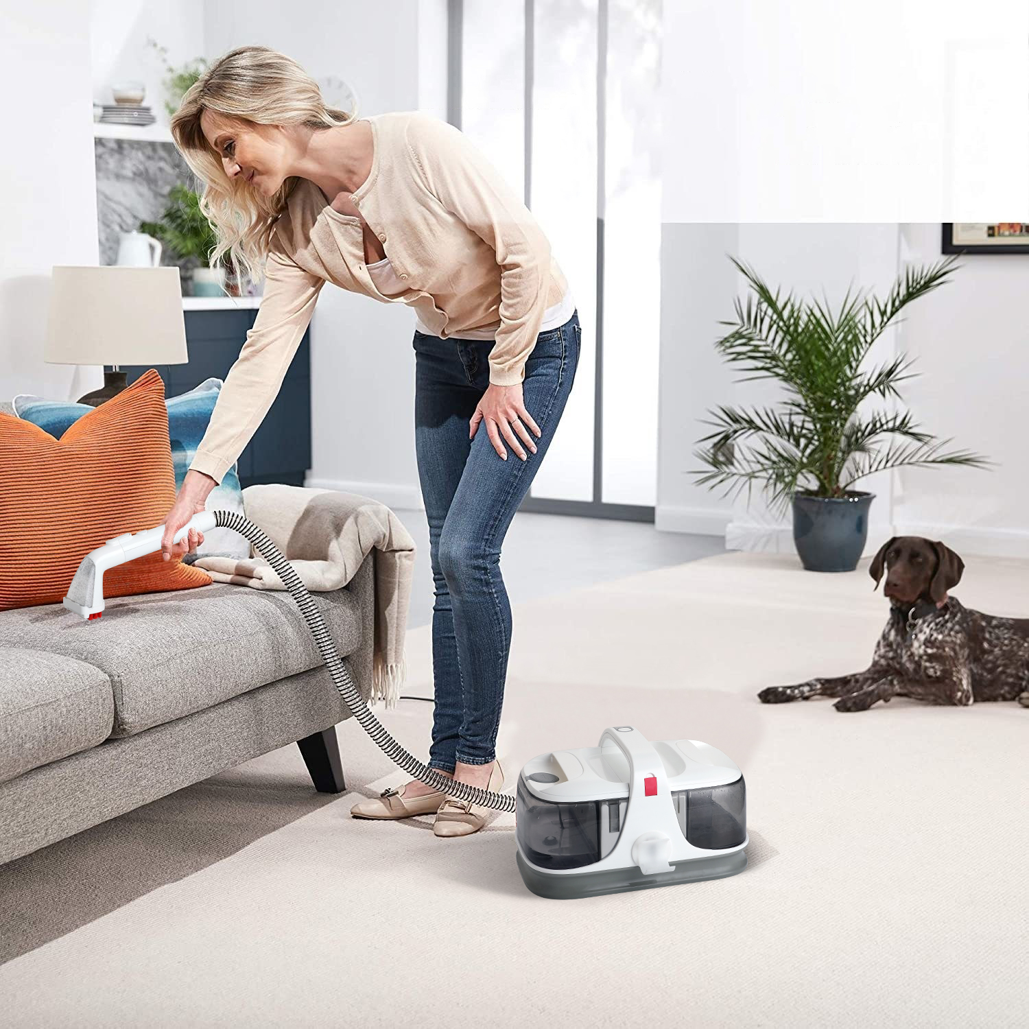Cordless Multi-function wet & dry vacuum cleaner
